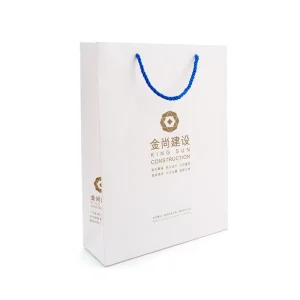 Degradable Material Custom Folding Carton Medicine Bottle Packaging Paper Boxes and Bag with Logo