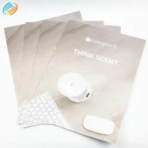 Different Styles Catalog Brochure Printing Eco Friendly Customized Met Art Covers Print Fashion Color