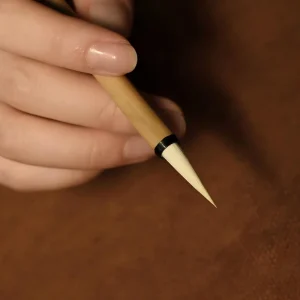 Drawing Pen Kit with Black Ink, Watercolor Effect Pens for Adult Coloring and Illustration