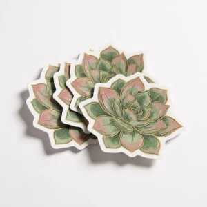 Eco Friendly Botanical Succulent Stickers Custom Die Cut Plant Logo Labels Organic Matte Vinyl Decals for Cosmetics Jars