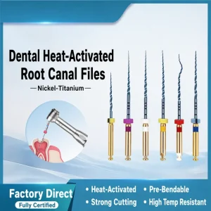 Endo Rotary Files Endodontic Files Dental NiTi Root Canal Files Factory Supplier OEM 6Pcs SX-F3 Bulk