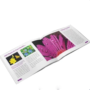 Exhibition Catalogue Flyers Screen Printing Brochures Paper Design Brochure Printing