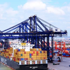 FCL and LCL Cargo Freight Import Logistics Delivery Forward Service by Sea Sea Freight Agent for Dominican Republic