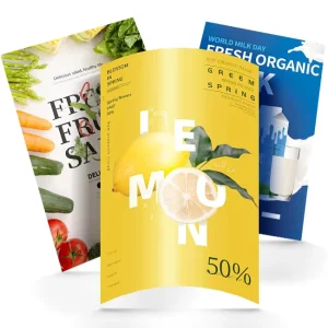 FREE SAMPLE Waterproof Customized Color Square PVC/Paper Digital Printing Outdoor/Indoor Promotion Poster/Flyer