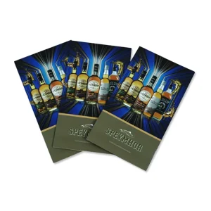 Factory Brochure Printing Custom Design Booklet Flyer for Advertising Promotion