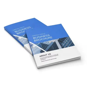 Factory Custom Design Brochure Booklet Printing for Company Profile