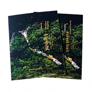 Factory Custom Offset Printed Folding Staff Manual Enterprise Atlas Picture Book Brochure Printing Service