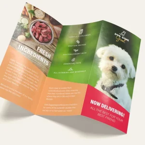 Factory Direct Sale Leaflet Flyer 3 Fold Brochure