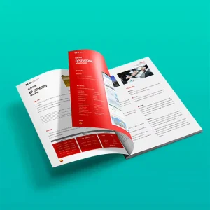 Factory Direct Supply New Product Brochure Advertising Leaflet Instruction Manual Origami Design Offset Paper Cardboard Material