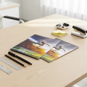 Factory Expandable File Folder Plastic PET Document Stationery Portfolio Colorful Folder for File Holding Stationery