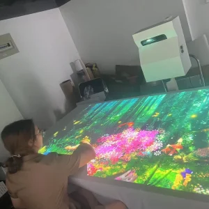 Factory Interactive Infrared Floor Projection with USB Interface PET Fabric Manufacturer Price