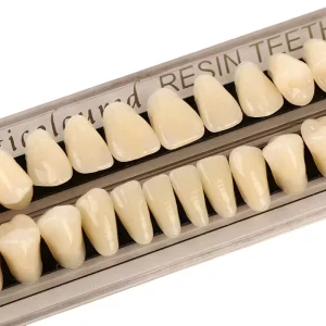 False Denture Teeth Dental Practice Tools Dental 2layer Acrylic Resin Teeth