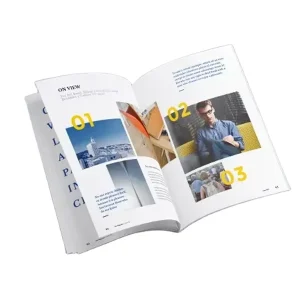 Flyer Leaflet Catalogue Booklet Printing Service Brochure Design for Paper Boxes