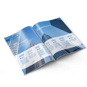 Folded Leaflets Brochure Sheets Flyers Coated Paper CMYK Color Printing