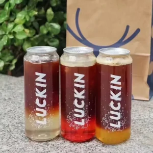 Free Sample 16oz 500ml PET Cans with Sealing Machine Customized Logo for Soda Whisky Champagne Energy Drinks