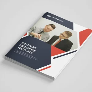 Full Color Bidfold Brochures Offset Printing Folded Flyers Leaflets in Various Paper Types Fancy Offset Cardboard Kraft Coated