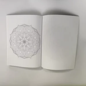 Full Color Books High Quality Price Custom Printing Adult Coloring Book for Children French