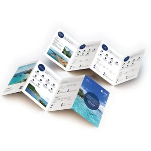 Full Color Brochure Cardboard Art Paper Offset Printed