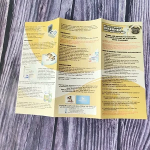 Full Color Custom Printing Leaflet Pamphlet Booklet Brochure Flyer