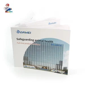 Good Quality Custom Printing Catalog Brochure Booklet Fashionable Magazine Saddle Stitching Offset Paper