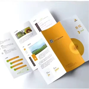 Graphic Design Advertising Design with Single page Color Page Brochure Album Cover Flyer Menu Product Catalog Poster Design