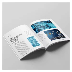 Graphic Design Services Professional App Controlled Photoshop Poster Image Album Layout Processing AI Vector Image Fine tuning