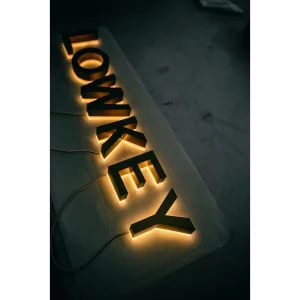 Graphic Designers Service 3D Glass Sign Logo Company Fabricated Fillable Flower Foam Embossed Letters Frontlit Backlit Custom