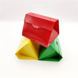 High-Gloss Envelope-Style Plastic Gift Box Packaging for Wedding Favors Shock Resistant Display Box Vibrant Themed Event Box