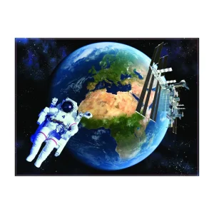 High Quality Eco Friendly Plastic Animal Space Shuttle Image Lenticular PET 0.9mm 3D Lenticular Painting Picture