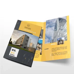 High Quality Factory Sale Instruction Manual Printing Flyer Leaflet Offset Paper and Cardboard Brochure for Export