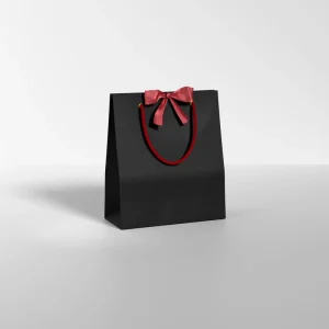 High Quality Reusable Durable Recyclable Ivory Board Customizable Luxury Shopping Bag for Shoes Clothing Black Classic Cotton