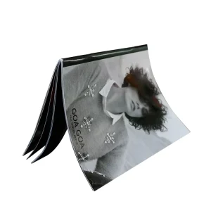 High-end Products Lookbook Magazine Brochure Leaflet Poster by Customized Design and Printing Service