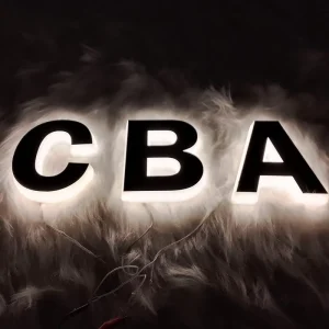 Illuminated Branding Custom LED Backlit Logo Letters IP65 Weatherproof 2-Year Warranty for Storefronts Businesses Easy Setup