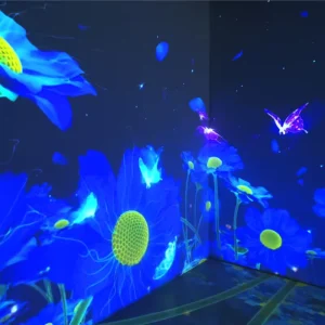 Indoor Room of Wall and Floor Holographic Projection System Creative Immersive Landscape Lighting Show Outdoor Interactive