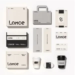 Complete Custom Brand VI Design Services Including Original Logo Development and Full Visual Identity Solutions for Businesses