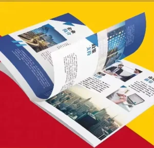 Instruction Manual Printed Promotional Folded Flyer Leaflet Brochure Pamphlet with Custom Printing