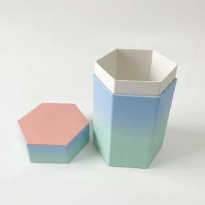 Irregular Shaped Box Packaging Custom Logo Printed Luxury Rigid Octagonal Paper Boxes for Gifts and Cosmetics