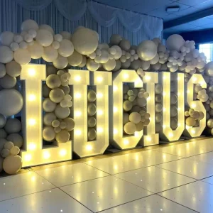 LED Logo Illuminated Backlit Business 3D Double Shop Acrylic Customized Color Outdoor Store Front Sign Easy Assembly