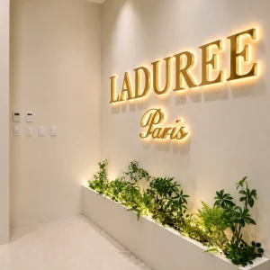 LED Sign Led logo Sign Custom Backlit Metal Letter Sign Business Signs Beauty Salon Logo Signage Spa Reception Wall Decor