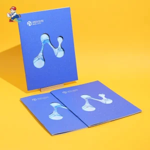 Luxury Art Paper Kraft Paper Manual Instruction Brochure Small Booklet Saddle Stitching Film Lamination Printing Customizable