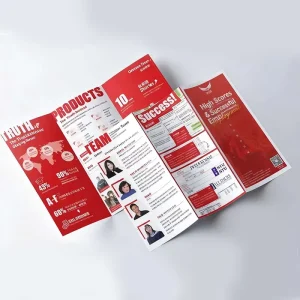 Luxury Manufacturer High Quality Custom Business Flyers Brochure Leaflet Printing