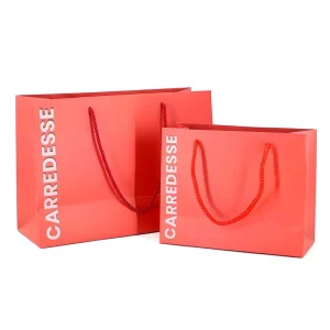 Luxury Paper Shopping Bag Custom Logo Printed Gift Packaging Apparel Packaging Cosmetic Packaging Retail Bag