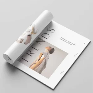 Manufacturer High Quality English Full Color Custom Printed Saddle Nail Magazine