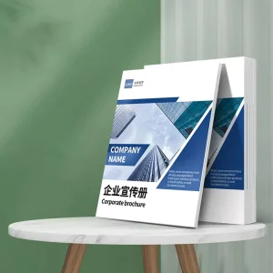 Mass Production Personalized Custom High Resolution Album Set Record Board Book Printing Service
