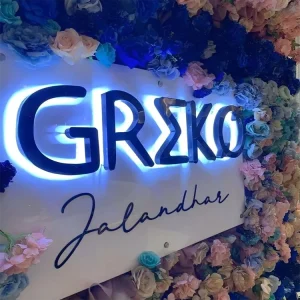 Metal Channel Letter Backlit Logo Signage Metal Logo Signage LED Brand Signs Business Sign Letters Beauty for Business Store