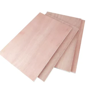 Multi Layer Plywood Building Templates Modern Design E1 Standard Water Resistant First Class Grade for Villa Hotel Use