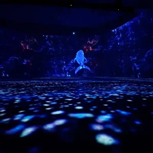 Museum Immersive Projection 3D Projection New Experience Visual Projector