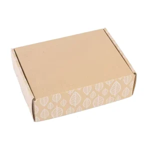 New Type Popular Product Custom Paper Gift Boxes Corrugated Printed Mailer Gift Box