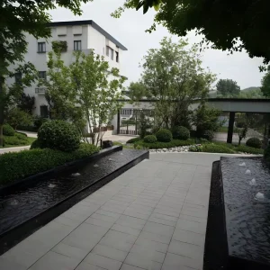 Nexus Landscape Design Free Consultation 3D Rendering Eco Friendly Modern Villa Outdoor Backyard Courtyard Graphic Design