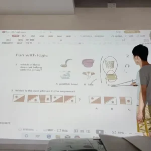 OEMCustomized Interactive Flat Panel Meeting Smart Touch Screen Education Classroom E board Interactive Whiteboard Projector